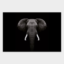 Dark Elephant behang - Artistic Lab