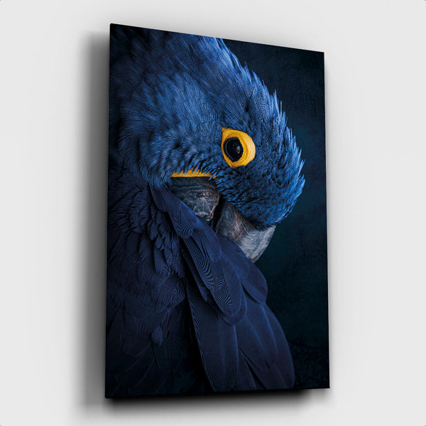 Blue Parrot - Artistic Lab