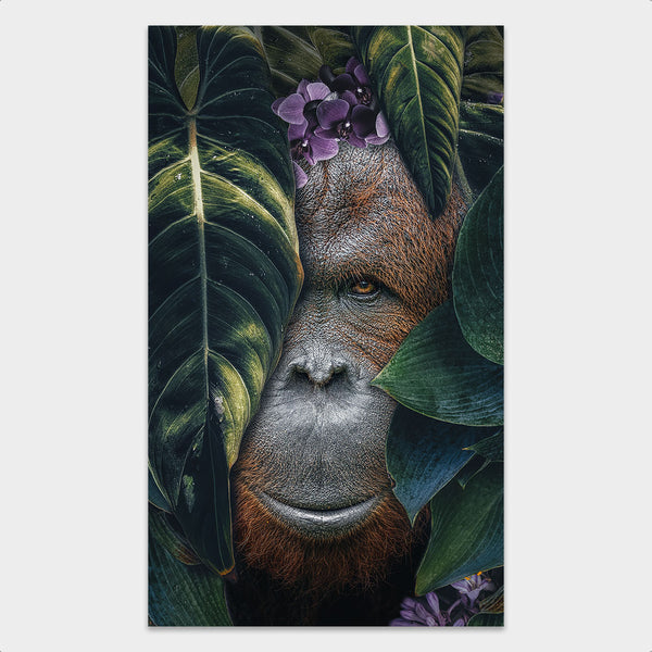 Jungle Orangutan behang