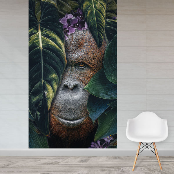 Jungle Orangutan behang