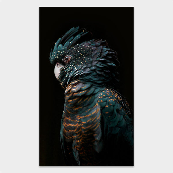 Cockatoo behang - Artistic Lab