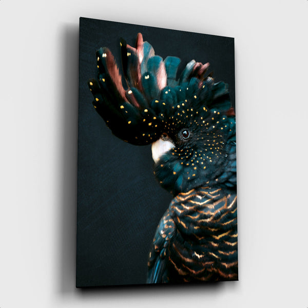 Cockatoo ² - Artistic Lab