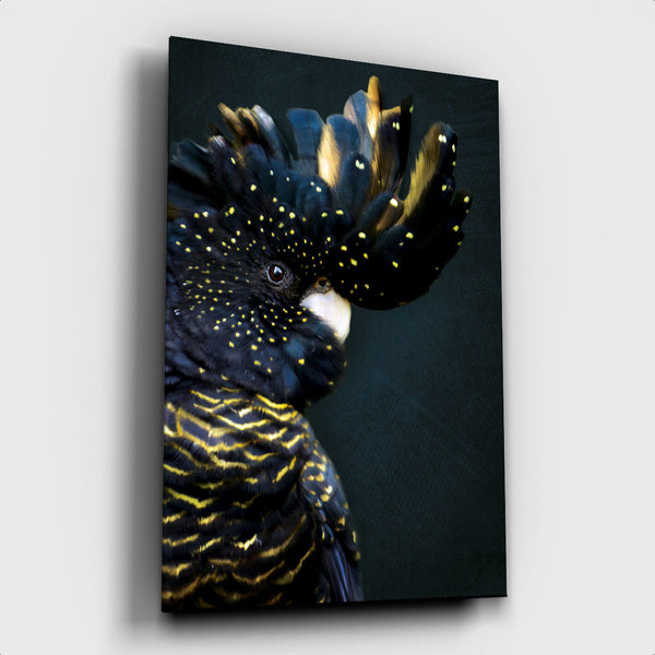 Cockatoo ³ - Artistic Lab