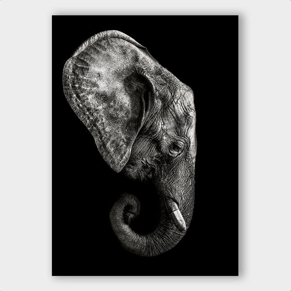 Dark Elephant ² - Artistic Lab