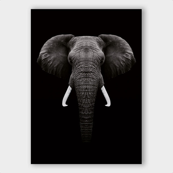 Dark Elephant - Artistic Lab