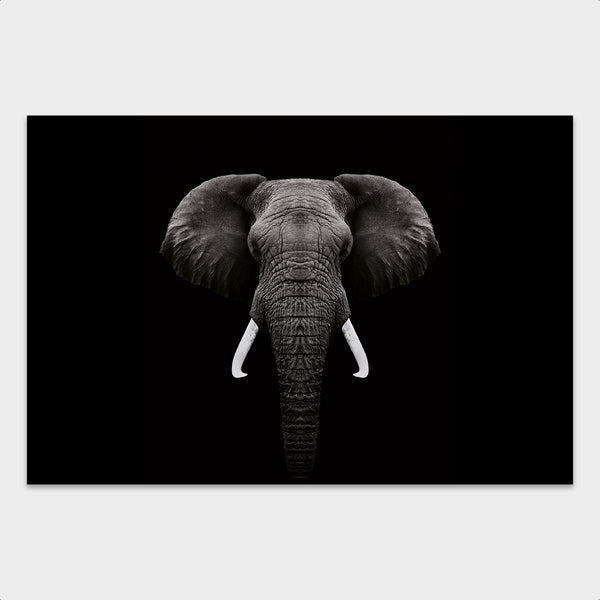 Dark Elephant behang - Artistic Lab