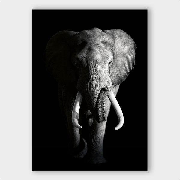 Dark Elephant ³ - Artistic Lab