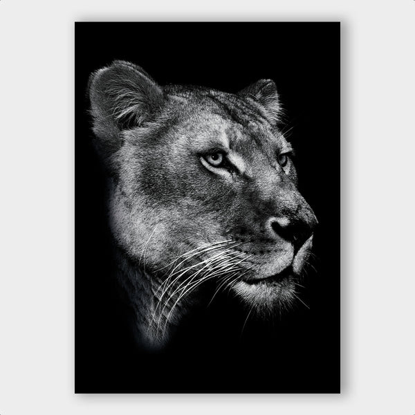 Dark Lioness - Artistic Lab