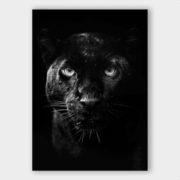 Dark Panther - Artistic Lab