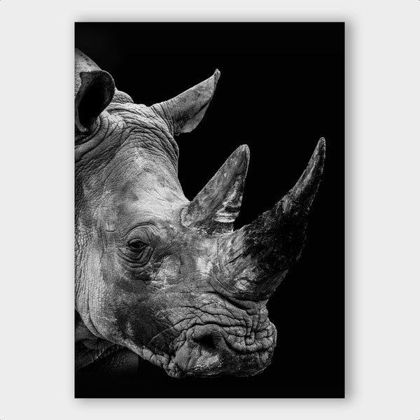 Dark Rhino - Artistic Lab