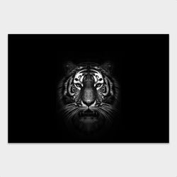 Dark Tiger behang - Artistic Lab