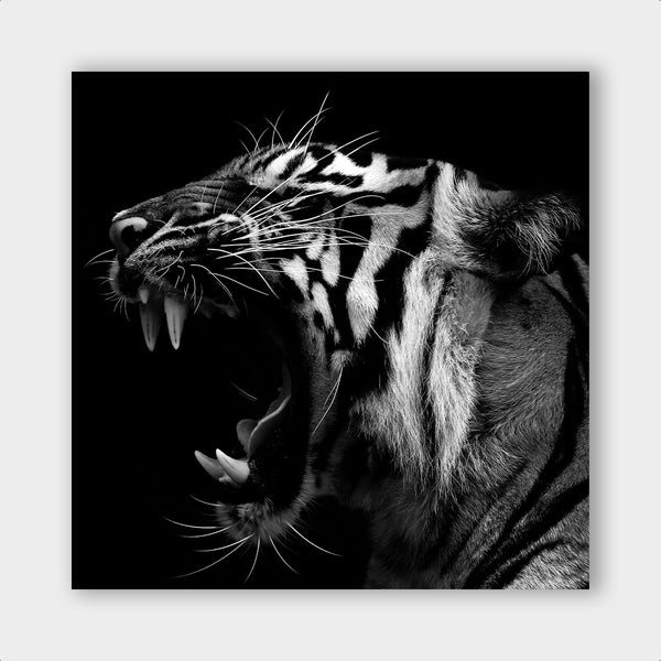 Dark Tiger Roar - Artistic Lab