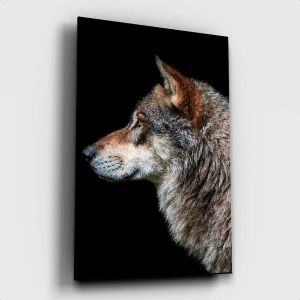 Dark Wolf - Artistic Lab
