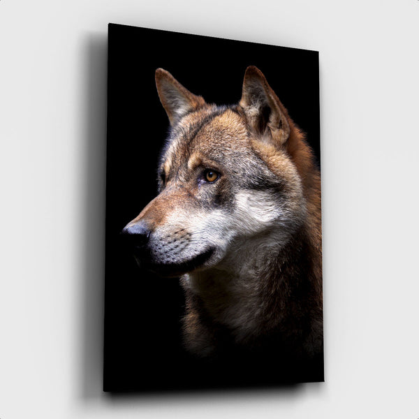 Dark Wolf ² - Artistic Lab
