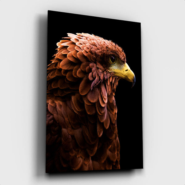 Eagle - Artistic Lab