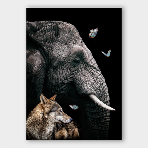 Elephant ² - Artistic Lab