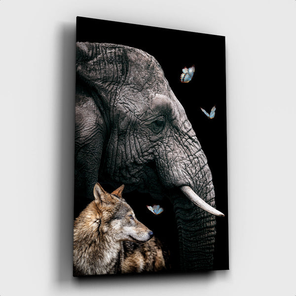 Elephant ² - Artistic Lab