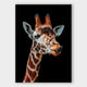 Sticky Image