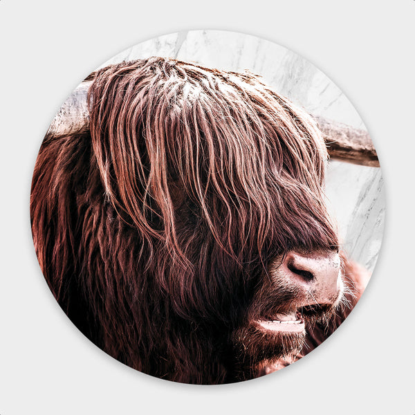 Highlander Disc - Artistic Lab