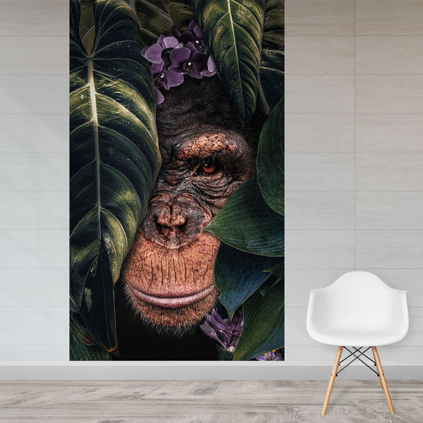Jungle Chimpanzee behang
