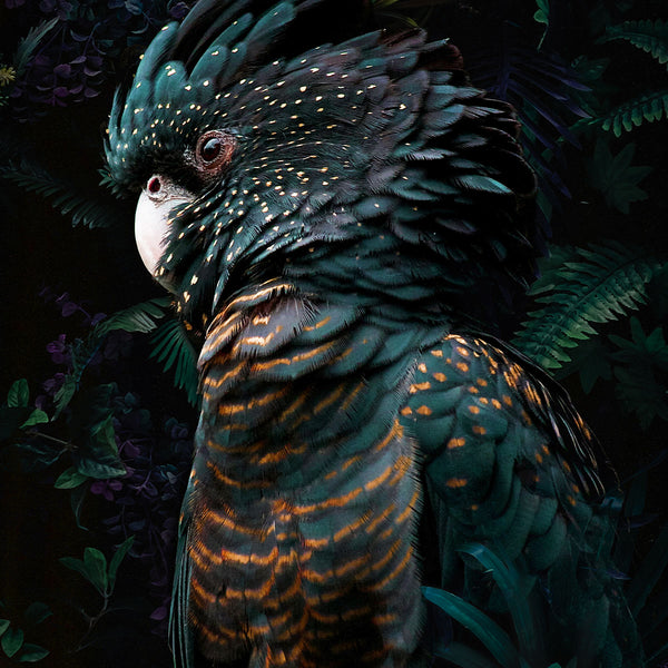 Jungle Cockatoo - Artistic Lab