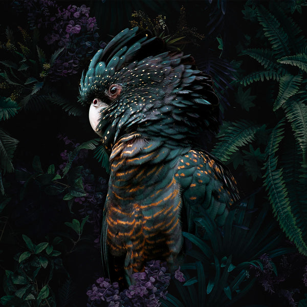 Jungle Cockatoo Landscape - Artistic Lab