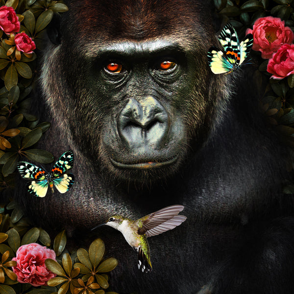 Jungle Gorilla - Artistic Lab