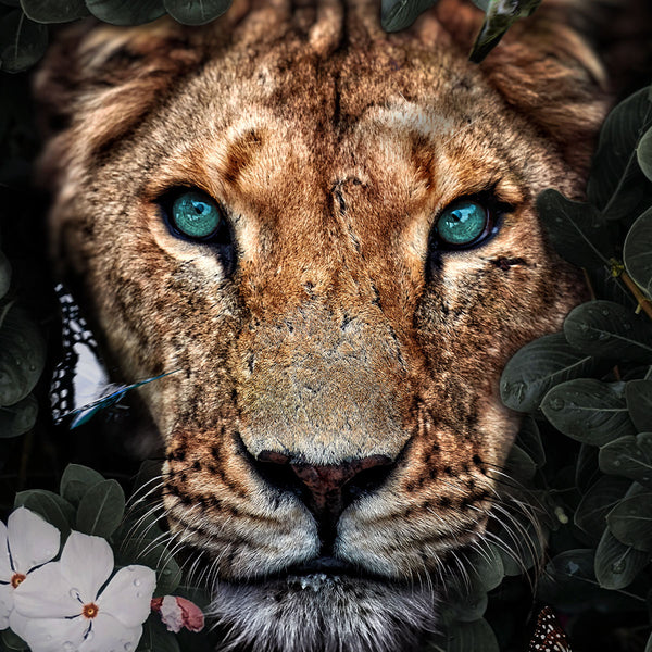 Jungle Lioness - Artistic Lab
