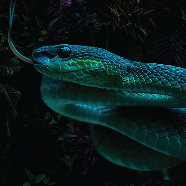Jungle Snake