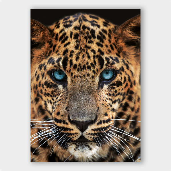 Leopard Close-up - Artistic Lab
