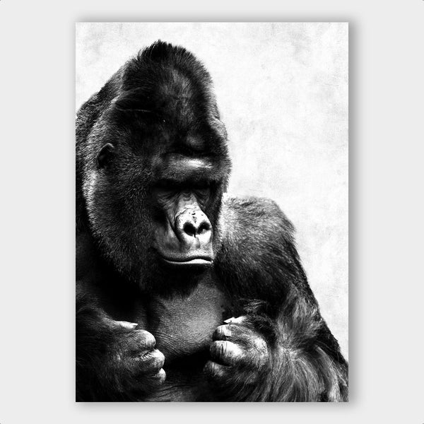 Light Gorilla - Artistic Lab