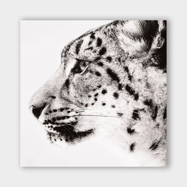 Light Leopard - Artistic Lab