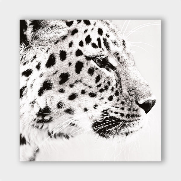 Light Leopard ² - Artistic Lab