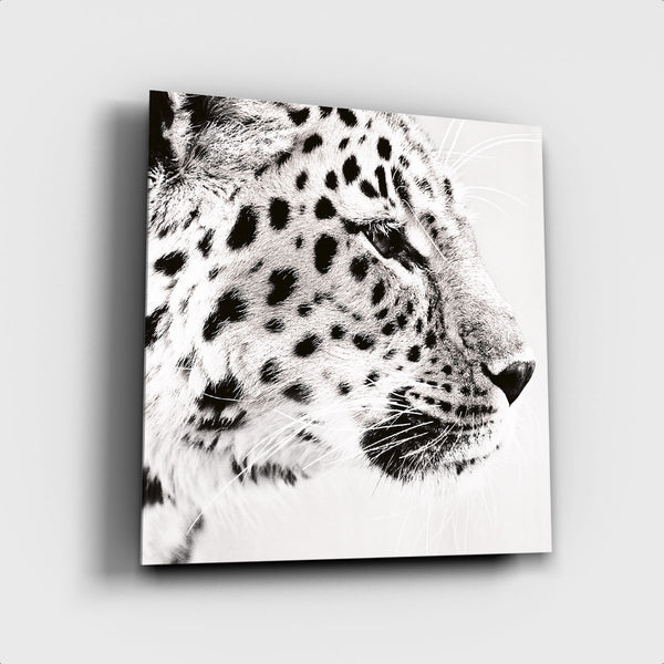 Light Leopard ² - Artistic Lab