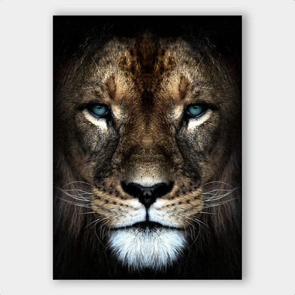 Lion Close-up - Artistic Lab