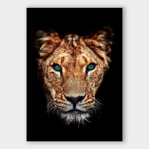 Lioness - Artistic Lab