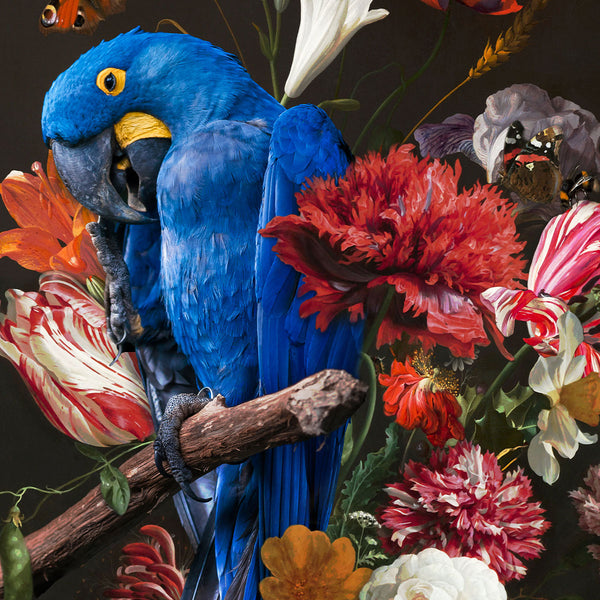 Macaw Parrot - Artistic Lab