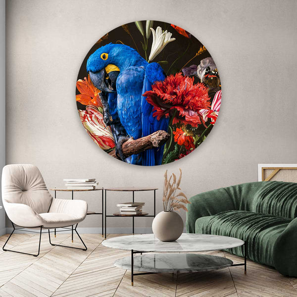 Macaw Parrot Round