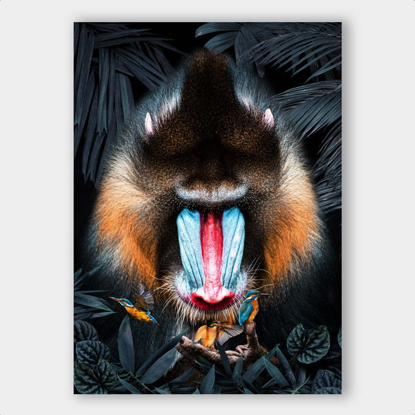 Mandrill Kingfisher
