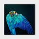 Sticky Image