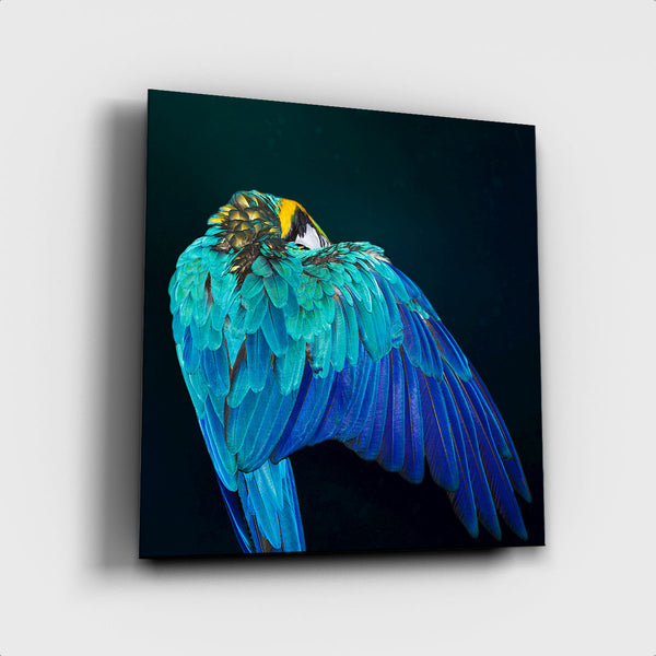 Parrot Wings - Artistic Lab