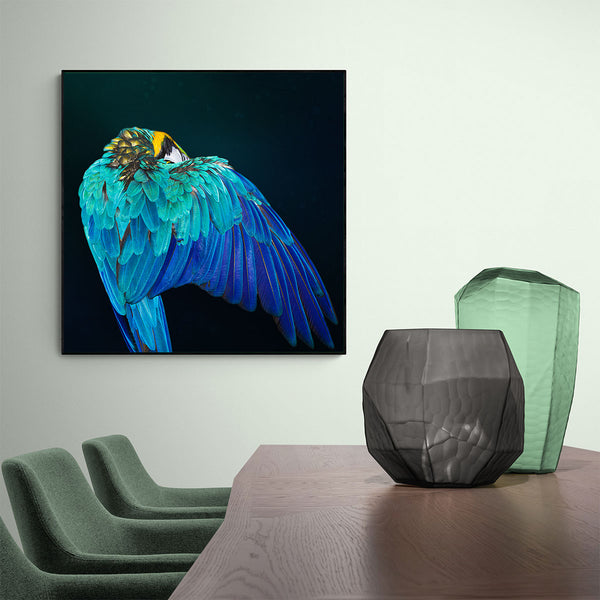 Parrot Wings - Artistic Lab