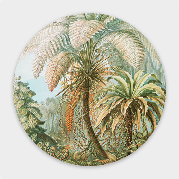 Filicinae Round