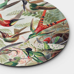 Hummingbirds Round