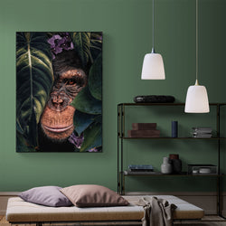 Jungle Chimpanzee