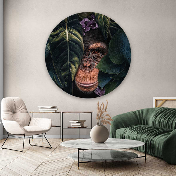 Jungle Chimpanzee Round