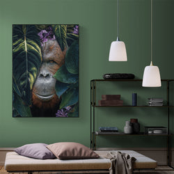 Jungle Orangutan