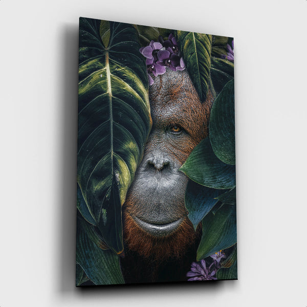 Jungle Orangutan