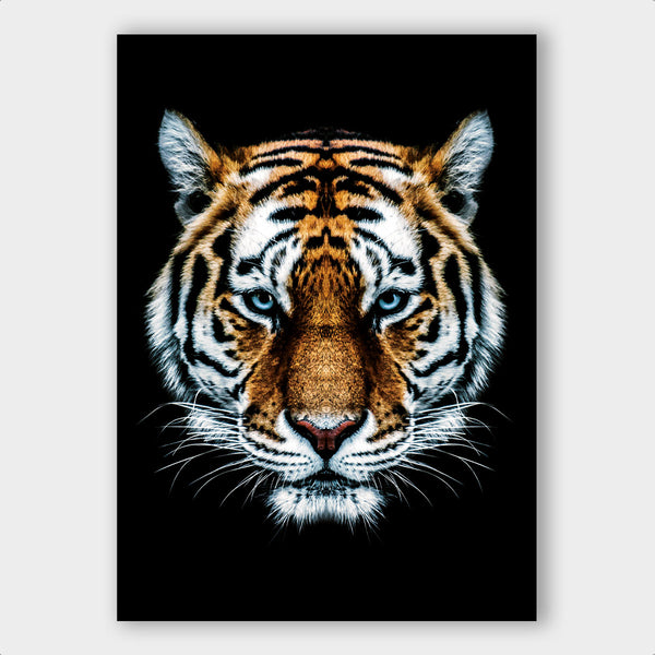 Tiger ² - Artistic Lab
