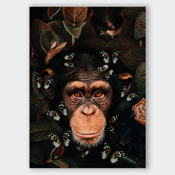 Tropical Chimpanzee